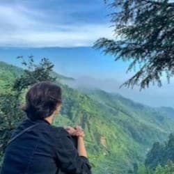 Shashank Shrivastav profile photo